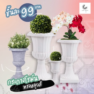 กระถางโรมันสีขาว กระถางพลาสติก ทรงหลุยส์ 99 บาท