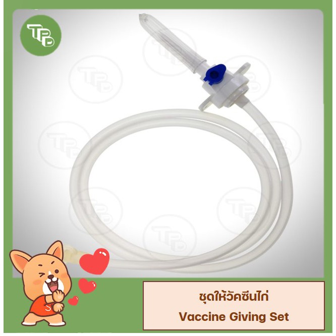 ชุดให้วัคซีนไก่ Vaccine Giving Set