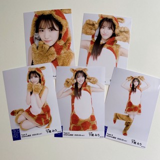 AKB48 Team8 netshop Shitao Miu -5ใบ