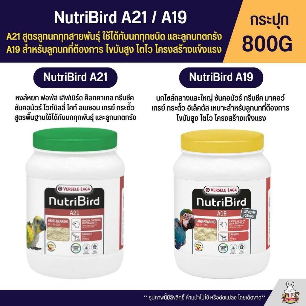 Nutribird A21 / A19 อาหารลูกป้อนนก  A21 สูตรลูกนกทุกสายพันธุ์ A19 สูตรพลังงานสูง (กระปุก 800G)
