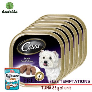 Cesar DOG FOOD MULTIPACK 100 g x6 pcs Free Whiskas TEMPTATIONS TUNA 85 g x1 unit