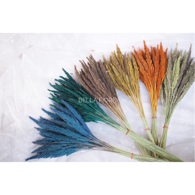 พร้อมส่ง!! ถูกมาก!! ดอกไม้แห้ง หญ้าปีกนก ดอกไม้แห้งอยู่ได้นานมากกว่า 2 ปี กำละ 35บาทเท่านั้นจ้า