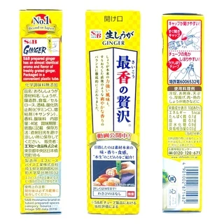 S&B TUBE HONNAMA NAMA SHOGA 40G (970) ขิงสดขูดชนิดหลอด JAPANESE GINGER PASTE