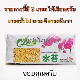 สแฟกนั่มมอสแยกเกรด (มีของพร้อมส่ง) 12L 1 ชิ้น Graded Sphagnum Moss 春禄水苔 (一袋)