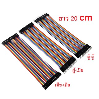 สายจัมป์ 20 cm 40 p Jumper Wire