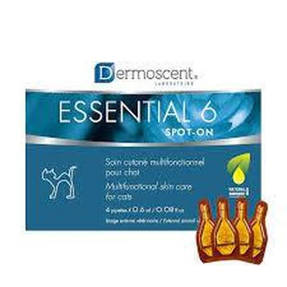 Dermoscent Essential 6 Cat spot-on(EXP.01/2028) ยาหยดหลัง สำหรับบำรุงผิวในแมว 1 กล่อง บรรจุ 4 หลอด