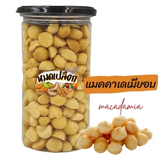 แมคคาเดเมีย อบ ไม่มีเปลือก (macadamia) แมคคาเดเมียอบ ถั่วแมคคาเดเมีย แม็กคาเดเมีย