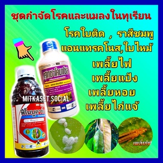 ชุด กำจัดโรคและแมลงในทุเรียน กำจัดเพลี้ย กำจัดเชื้อรา ฟีโนบูคาร์บ 1 ลิตร + เฮกซะโคลนาโซล 1ลิตร เพลี้ยแป้ง เพลี้ยไฟ ใบติด