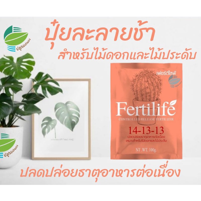 ปุ๋ยละลายช้า Fertilife สูตร 14-13-13 เฟอร์ติไลฟ์