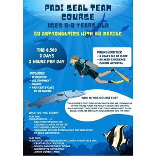 BBMarine คอร์สดำน้ำ PADI SEAL TEAM COURSE