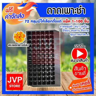 **ส่งฟรี** ถาดเพาะชำ ถาดเพาะกล้า 72 หลุม แข็งแรง 1 แผ่น เพาะพันธุ์ต้นกล้า ต่างๆ