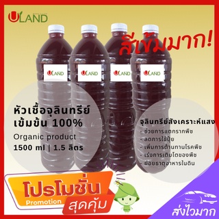 Uland หัวเชื้อจุลินทรีย์แสง 1.5 ลิตร สูตรเข้มข้น นำไปขยายเพิ่มได้ง่ายนิดเดียว ปรับสภาพดิน เพิ่มผลผลิต ป้องกันโรคพืช จุลิ