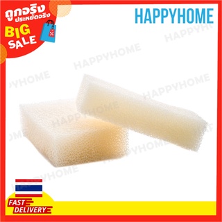 ฟองน้ำล้างจาน D10-9064017 Dish Sponge (1pcs)