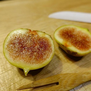 Figs ต้นมะเดื่อฝรั่ง พันธุ์ Inca gold (อินคาโกลด์)พร้อมกระถาง 6 นิ้ว ลำต้นสูง 45-50 ซม