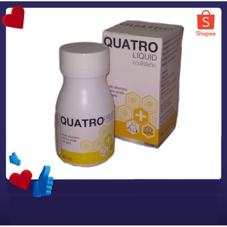 Quatro Liquid ควอโต้ ลิควิด วิตามินรวม และกรดอะมิโนแบบน้ำ สำหรับกระต่าย แมว นก สุนัข 60 ml.