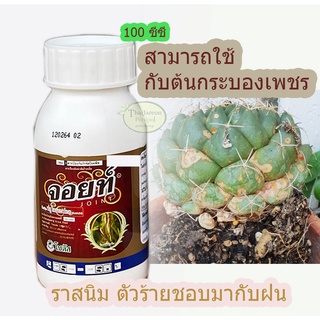 จอยท์  ใช้กับ โรคราสนิม ใบจุด ยากันราสนิม กับ แคคตัส กระบองเพชรได้