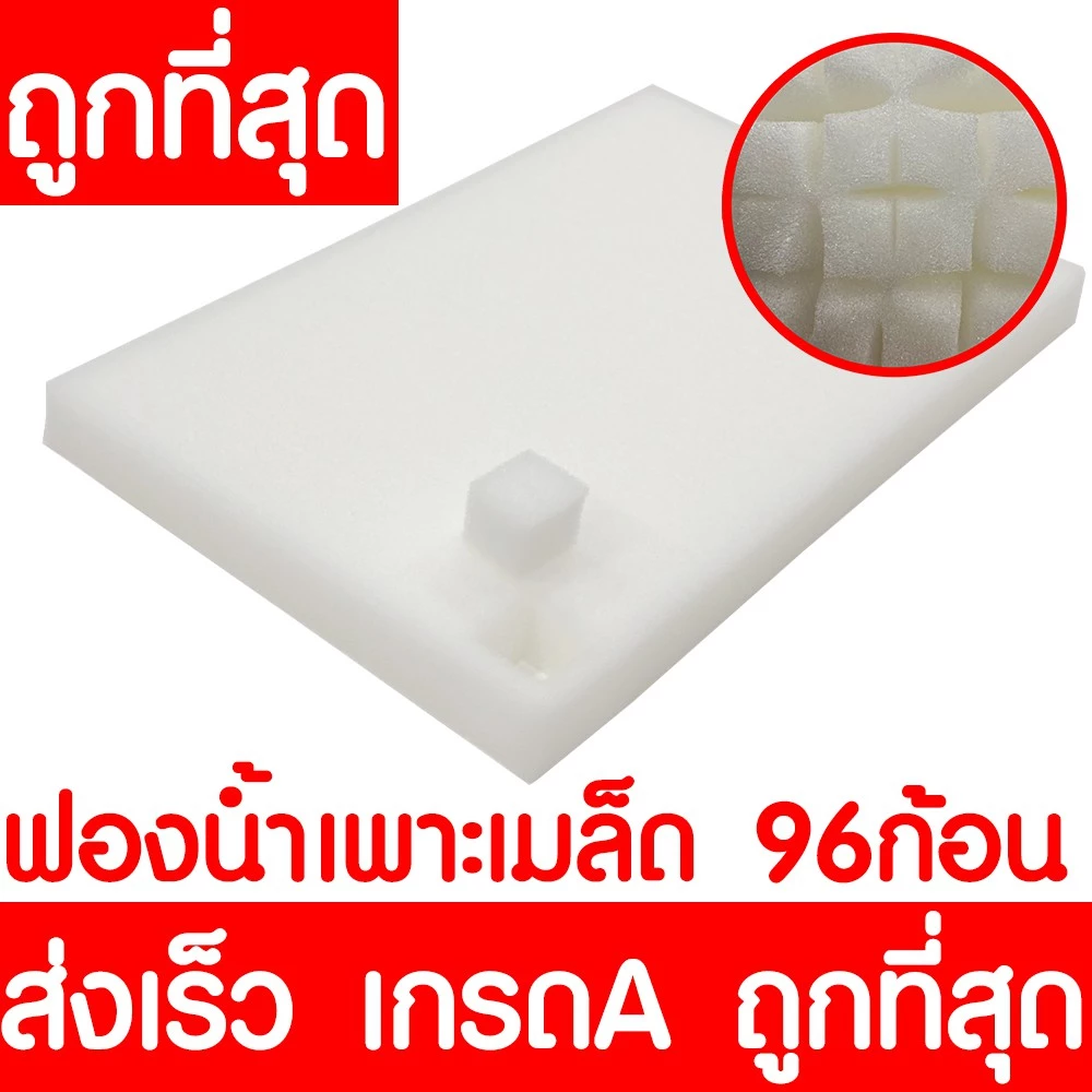 *โค้ดส่งฟรี* ถาดเพาะกล้า ถาดเพาะชำ ถาดเพาะเมล็ด ต้นอ่อน เมล็ด ไฮโดร 50,72,105,200หลุม ฟองน้ำ กรีนโอ๊ค คอส clearance thumbnail 8
