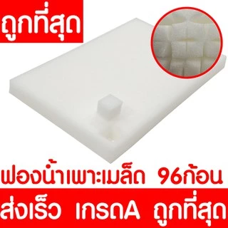 *โค้ดส่งฟรี* ถาดเพาะกล้า ถาดเพาะชำ ถาดเพาะเมล็ด ต้นอ่อน เมล็ด ไฮโดร 50,72,105,200หลุม ฟองน้ำ กรีนโอ๊ค คอส MAXX