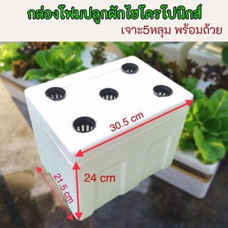 กล่องโฟมปลูกผักไฮโดรโปนิกส์​ พร้อมเจาะรู​+ถ้วยปลูกดำ​ 5ช่อง