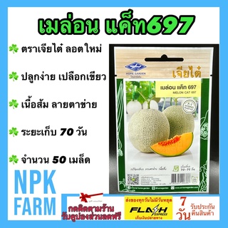 ผักซอง เจียไต๋ เมล่อน แค็ท697 จำนวน 50 เมล็ด/ซอง เมล็ดพันธุ์ ลอตใหม่ งอกดี ปลูกง่าย เปลือกเขียว เนื้อส้ม ลายตาข่าย