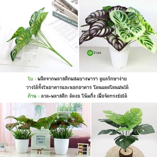 ต้นไม้ประดับหลากสไตล์หลายชนิด รุ่นขนาดใบ 10*12cm ต้นไม้ประดิษฐ์ สวยงามเสมือนจริง (พร้อมส่งในไทย ถึงเร็วทันใจ)