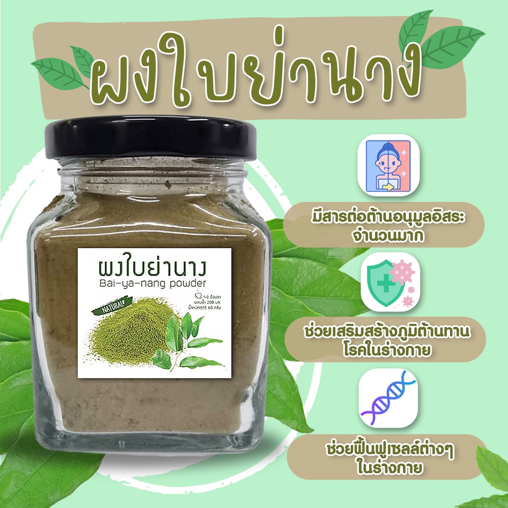 ผงใบย่านาง บดละเอียด ใบย่านางผง 100% คลอโรฟิลล์จากธรรมชาติ (กระปุก) 60 กรัม ใช้ใส่แกงหน่อไม้หรือชงดื่ม (กระปุก)