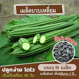 เมล็ดพันธุ์ บวบเหลี่ยม แบ่งขาย 15 เมล็ด (ซื้อ 5 แถม 1)WhiteKaleCabbageMixCosmosColorZinniaFlowerRubyMarigold 87QX