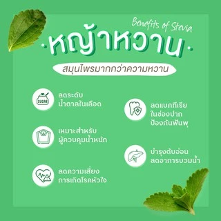 katts รสสละ น้ำหญ้าหวานคีโต น้ำหญ้าหวาน 500 ml. สารให้ความหวานแทนน้ำตาล ไซรัปหญ้าหวาน 500 ml.