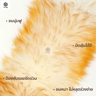 ซื้อ2แถมน้ำยาซัก1ขวด ไม้ปัดฝุ่นขนแกะแท้ ไม้ปัดฝุ่นรถยนต์ ฟรีกระบอกจัดเก็บ ขนหนา นุ่ม ฟู Wool Duster