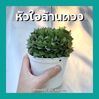 เดปหัวใจล้านดวง/เดฟหัวใจล้านดวง มีลวดแขวน