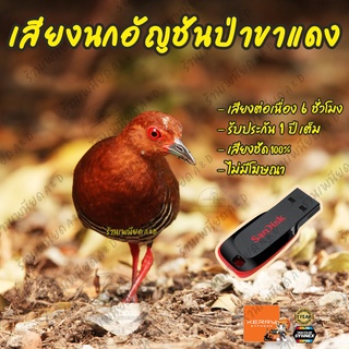 เสียงต่อ นกอัญชันป่าขาแดง ยาว6ชั่วโมง ไม่มีโฆษณา แฟลชไดร์ฟ (Flash Drive) มีเก็บเงินปลายทาง