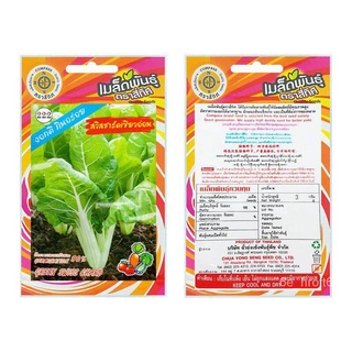 Aor99 เมล็ดพันธุ์ สวิสชาร์ด เขียวอ่อน 1 ซอง มี 3 กรัม GREEN SWISS CHARD seeds สวิส เมล็ดผัก เมล็ดสวิสชาร์ด เมล็ดพันธุ์ s