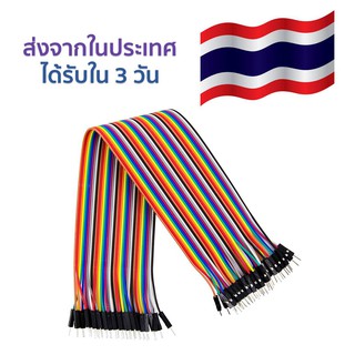 สายจั้มเปอร์ ผู้ - ผู้ 40 Pin 30cm