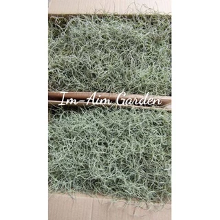 !!(พร้อมส่งเครา1/2)!!....เคราฤาษี ครึ่งโล แบบมีลวดแขวนและไม่มีลวดแขวน