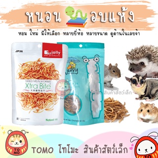 ร้านโทโมะ 💕 หนอนอบ จอลลี่ เจอร์รี่ Jolly และ Jerry หนอนแว๊กซ์ จิ้งหรีด ดักแด้ หนอนนก แมลง เม่นแคระ แฮมสเตอร์ ชูการ์