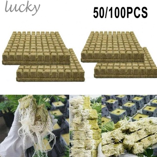 LUCKY~50/100 Pcs Rockwool SeedlingStarter Stonewool Hydroponic Plant Grow Media#Ready Stock