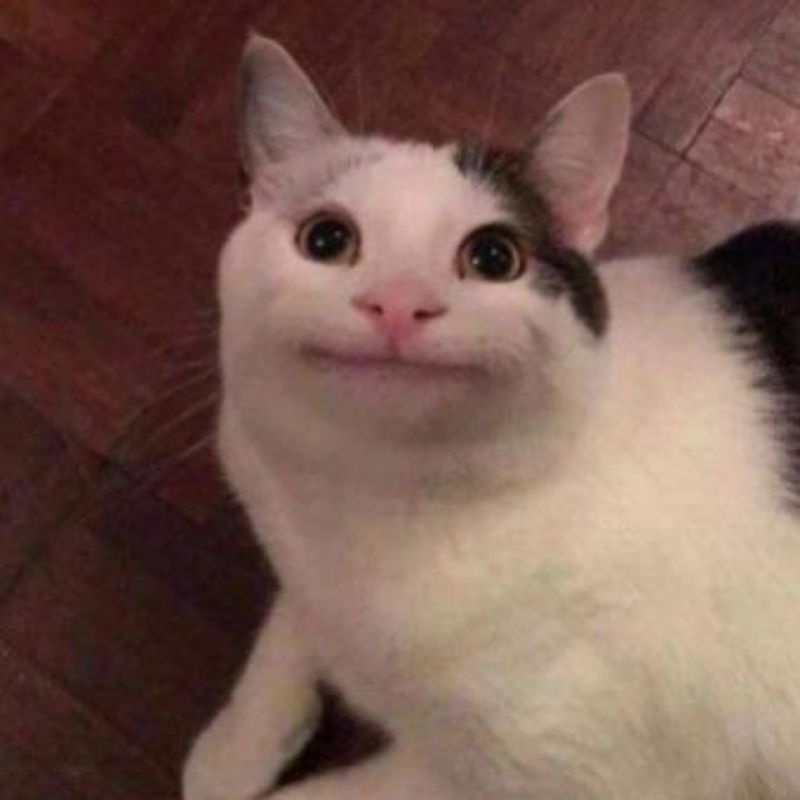 หนังสือ YJ SG22*****