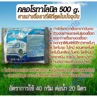 คลอโรทาโลนิล 500g สารกำจัดโรคราในพืชออกฤทธิ์สัมผัสที่ดีที่สุด  จบราจากสาเหตุ โรคใบจุด ใบไหม้ แอนแทรคโนส ป้องกันราดื้อยา