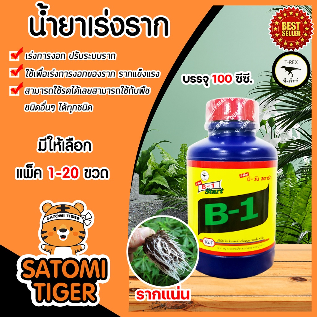 น้ำยาเร่งราก วิตามินบี-1 B1 ขนาด 100ซีซี  ทีเร็กซ์ บีวัน-สตาร์ท เร่งราก เรียกราก อาหารเสริมพืช