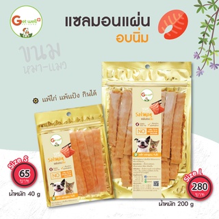 Get Well แซลมอนแผ่น อบนิ่ม ไม่ปรุงรส ขนมสำหรับสุนัขแพ้ไก่ แพ้กลูเตน