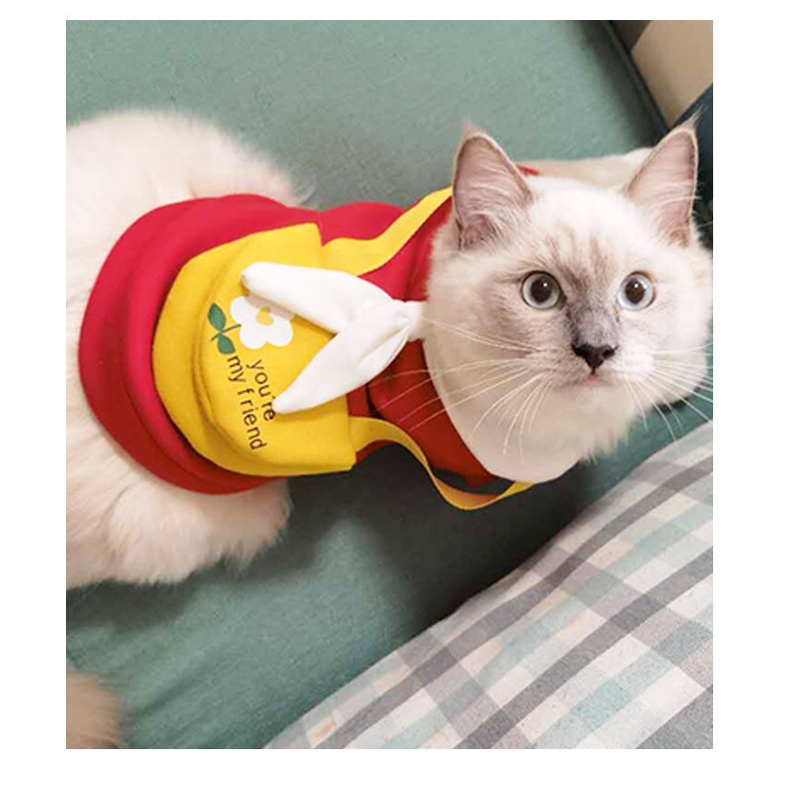 AimayaPet ชุดสัตว์เลี้ยง ชุดสัตว์สุดเท่ เสื้อยืดลายน่ารักแฟชั่นฤดูร้อนสําหรับสัตว์เลี้ยงสุนัขแมว XL - รูปที่ 5