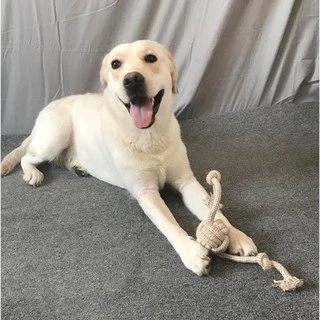 Happy PETs ของเล่นสุนัข เชือกกัด สีน้ำตาล ช่วยขัดฟัน คลายเครียด ของเล่นหมาจ