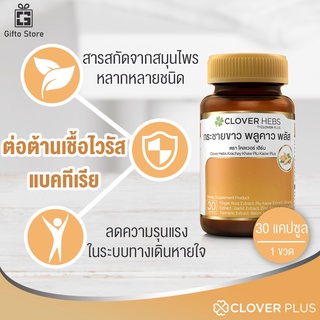 Clover Hebs by Clover plus กระชายขาว พลูคาว พลัส 1ขวด/30แคปซูล