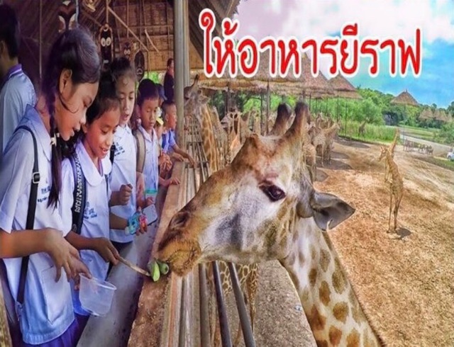 ถูกที่สุด‼️ส่งด่วนซาฟารี>>ทักแชท‼️บัตรซาฟารีเวิลด์   Safari world  ✅บัตรเข้า2โซน+ล่องเรือ❤️ ส่งด่วน❤️
