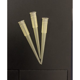 YELLOW TIP / pipette tip 1000 ชิ้น/แพ็ค (non sterile) พร้อมส่ง