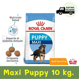 1740.- Maxi Puppy 10 kg. Royal Canin สำหรับลูกสุนัขพันธุ์ใหญ่