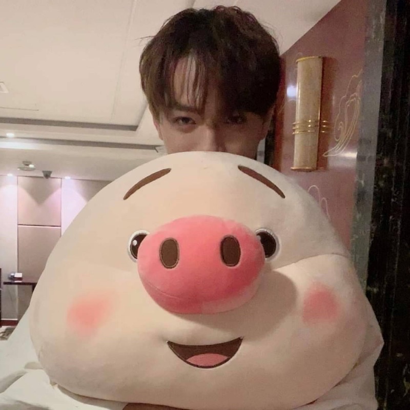 พร้อมส่ง!!! ตุ๊กตาหมูสวี่ข่าย Zhuxiaopi 🐷 #许凯 #Xukai