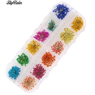ดอกไม้แห้งสำหรับแต่งเล็บคละสี 1กล่องบรรจุ12ชิ้น