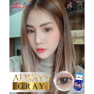 1 คู่ บิ้กอายตาโต สายแบ๊ว สายสวยหวาน รุ่น Alice/Dreamy/Always Gray  by Wink Contact Lens ขนาด 14.0  สีเทา ค่าสายตาปกติ