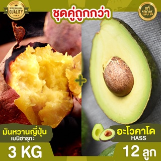 มันหวานญี่ปุ่น 3kg + อะโวคาโด 12 ลูก Avocado Hass อะโวคาโด้ อโวคาโด อะโวคาโดสด มันหวาน มันหวานเบนิฮารุกะ